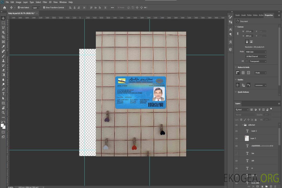 Photolook du permis de conduire de Brunei AVANT template